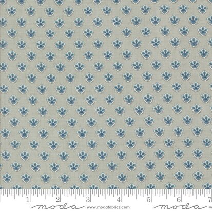 Sacre Bleu Ciel Blue Campanule 13977-14