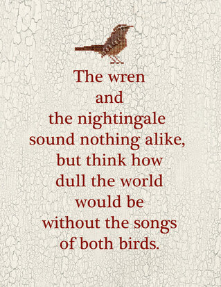 Wren Sampler - Teresa Kogut