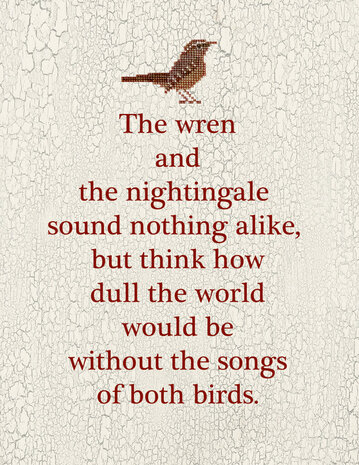 Wren Sampler - Teresa Kogut