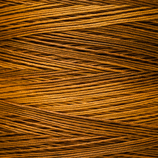 Tiger&#039;s Eye WDW 1225
