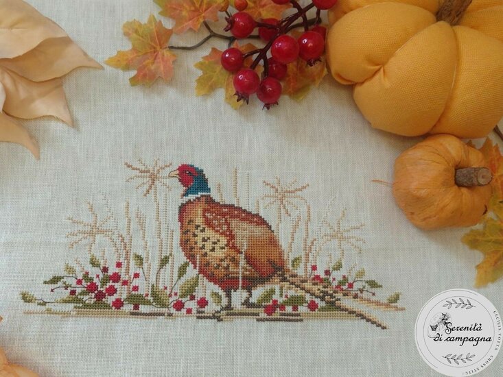 PHEASANT - FAGIANO