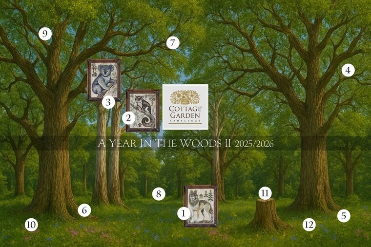 A year in the Woods II serie - 3 - Koala -  Cottage Garden Samplings