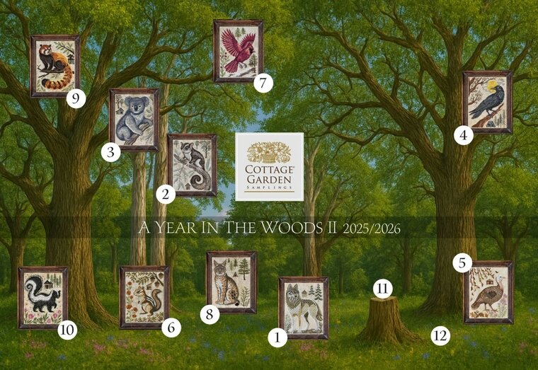 A year in the Woods II serie - 10 - Skunk -  Cottage Garden Samplings