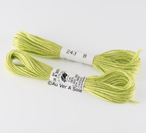 Soie D&#039;Alger 243