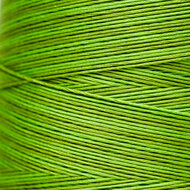 Paris Green WDW 2204a