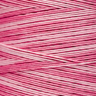 Emma&#039;s Pink WDW 2280