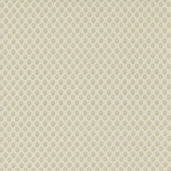 Antoinette Adelaide Faded Roche On Pearl - 13957 18