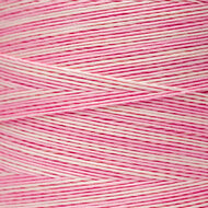 Sophia&#039;s Pink WDW 1138