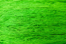 Key Lime