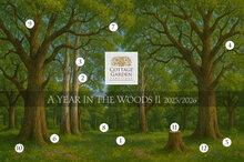 A Year in the Woods II