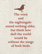 Wren Sampler - Teresa Kogut