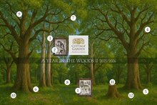 A year in the Woods II serie - 2 - Sugar Glider -  Cottage Garden Samplings