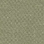 Agave 36 ct. Edinburgh 6018