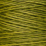 Grasshopper WDW 2205