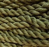 Avocado Gloriana 305