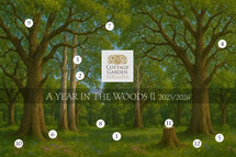 A year in the Woods II Club