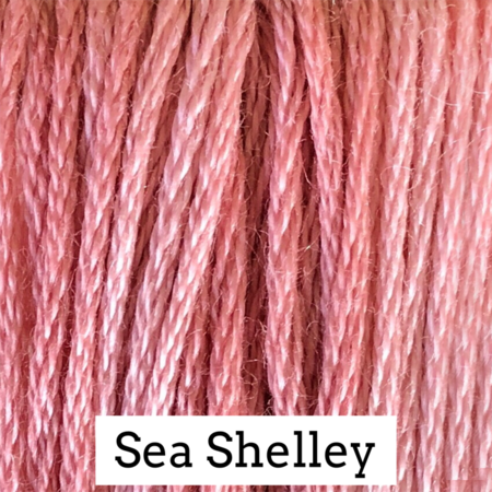 Sea Shelley CCW