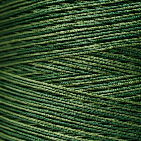 Monkey Grass WDW 2168