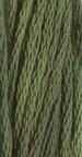 Green with Envy GA 0196