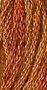 Pumpkin Pie GA 7059 