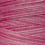 Busy Lizzie WDW 2272