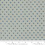 Sacre Bleu Ciel Blue Campanule 13977-14