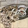 Aged Ribbon -  Toadstool