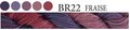 Fraise CGT BR22